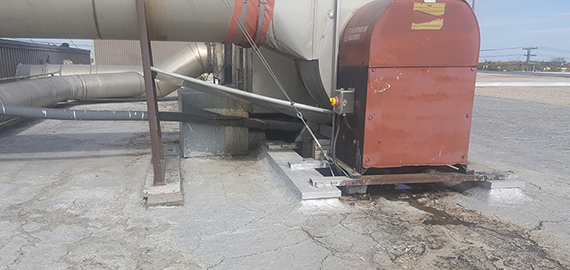 Existing roof condition at Old Dutch facility