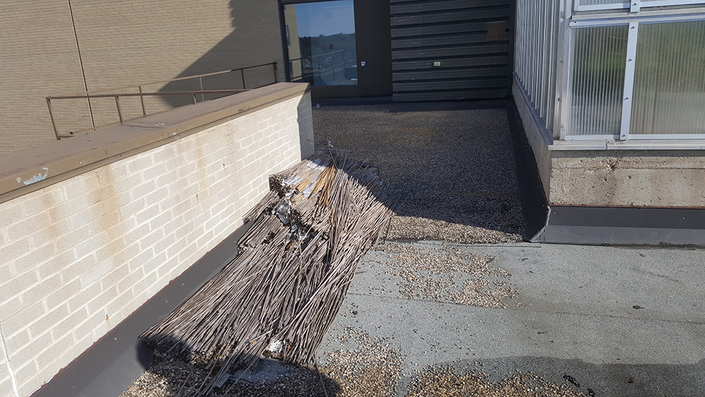 Commercial roof conditions before renovation work